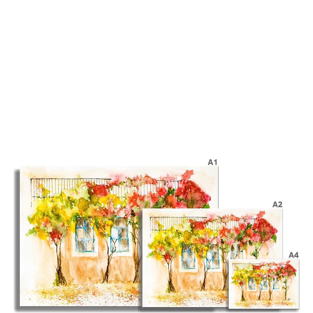 "Bougainvilleas" Fiscardo, Greece